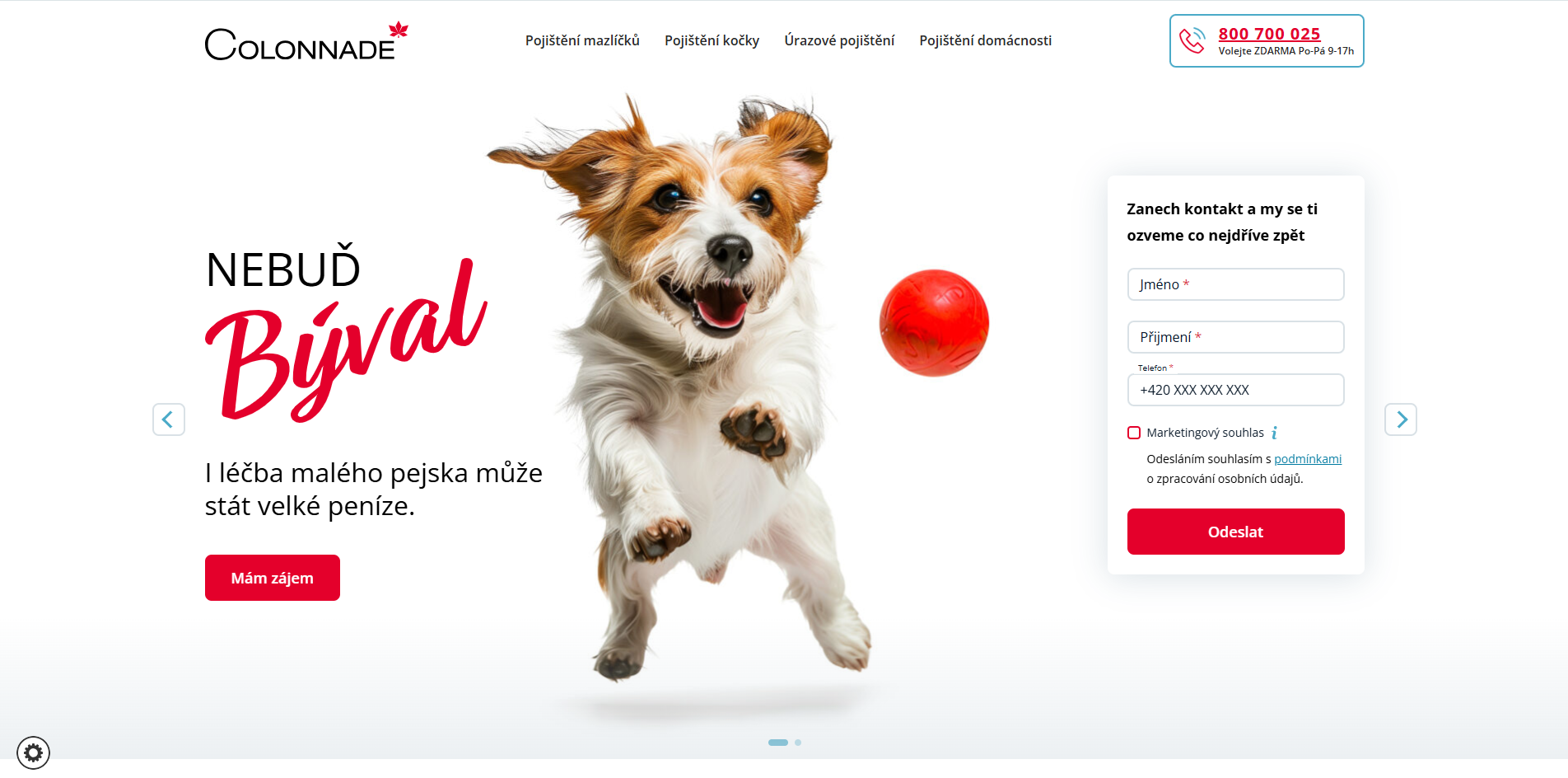 Nebudbyval Recenze